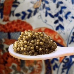 Osietra Kaviar Imperial (125g)